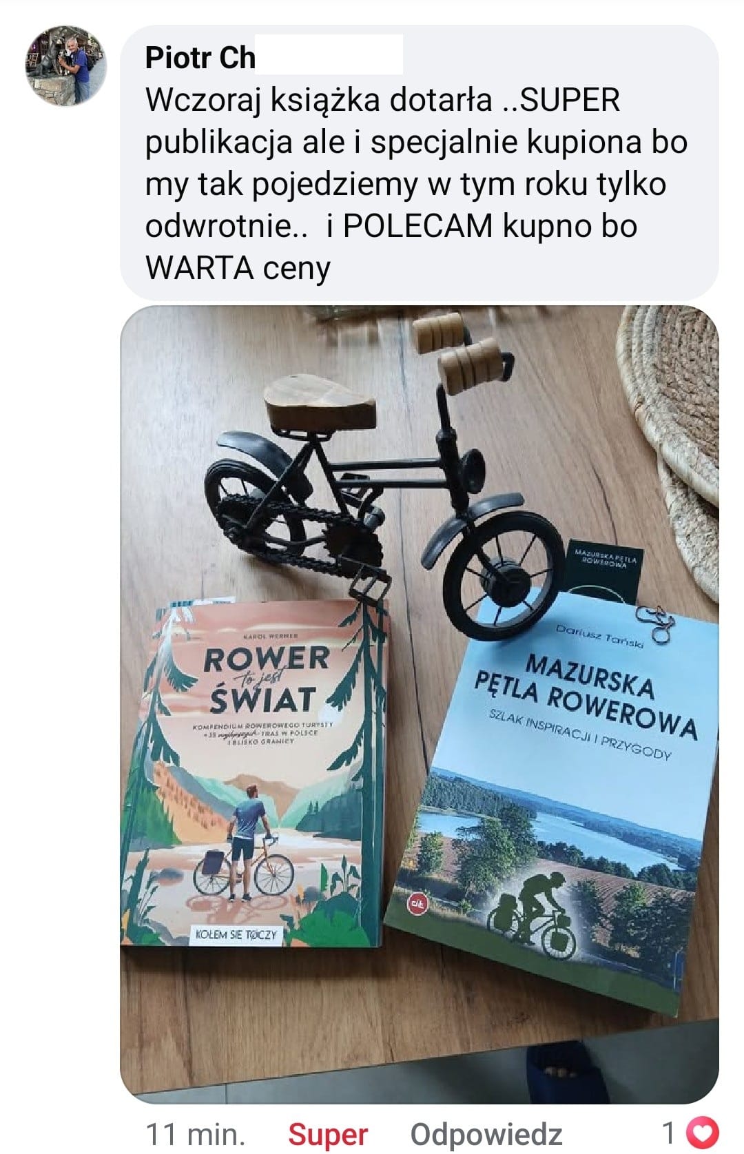 Recenzja czytelnika – zrzut ekranu